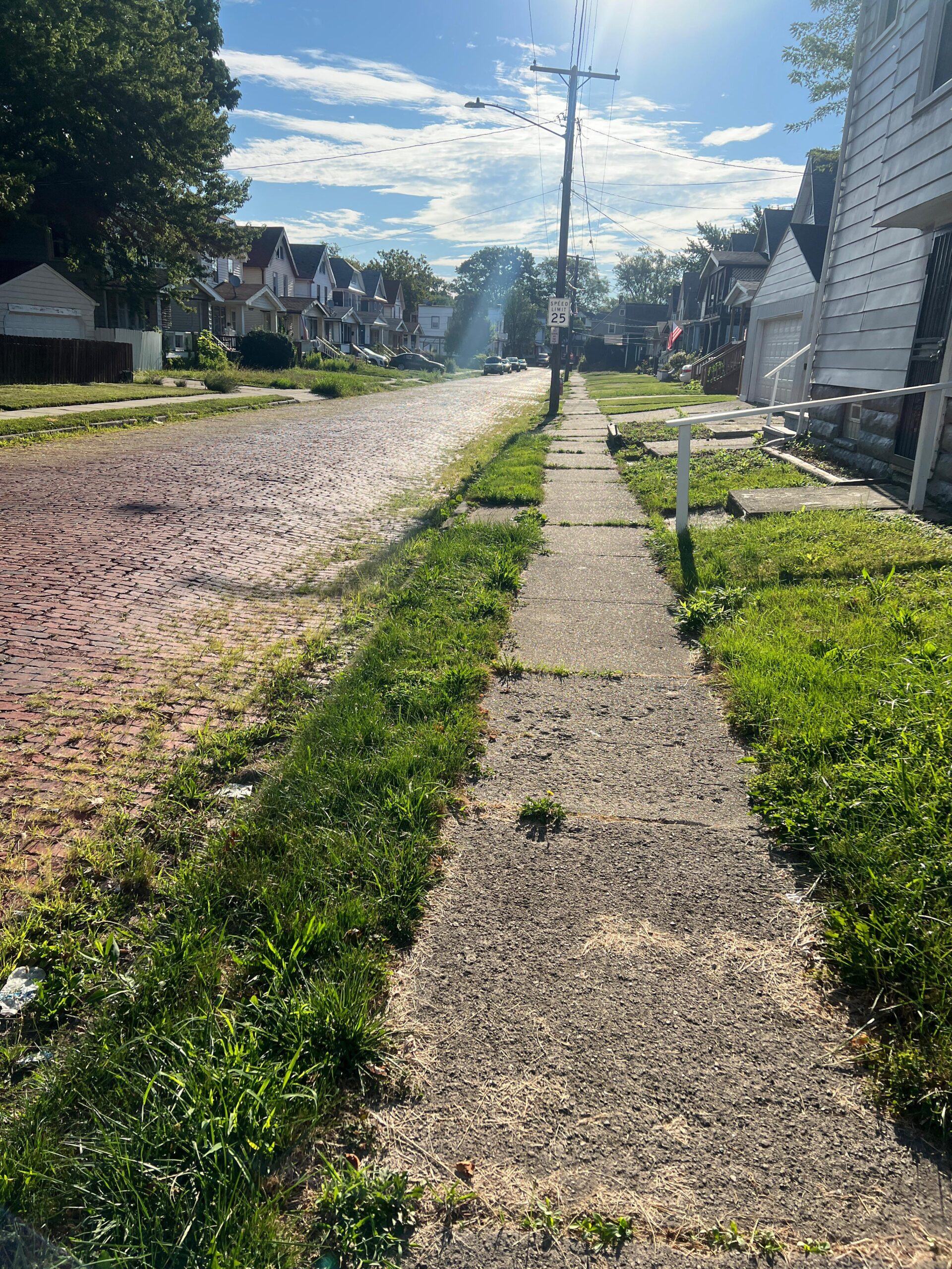 Ward Work: Between Lawns, Speeches, and What’s Really Broken