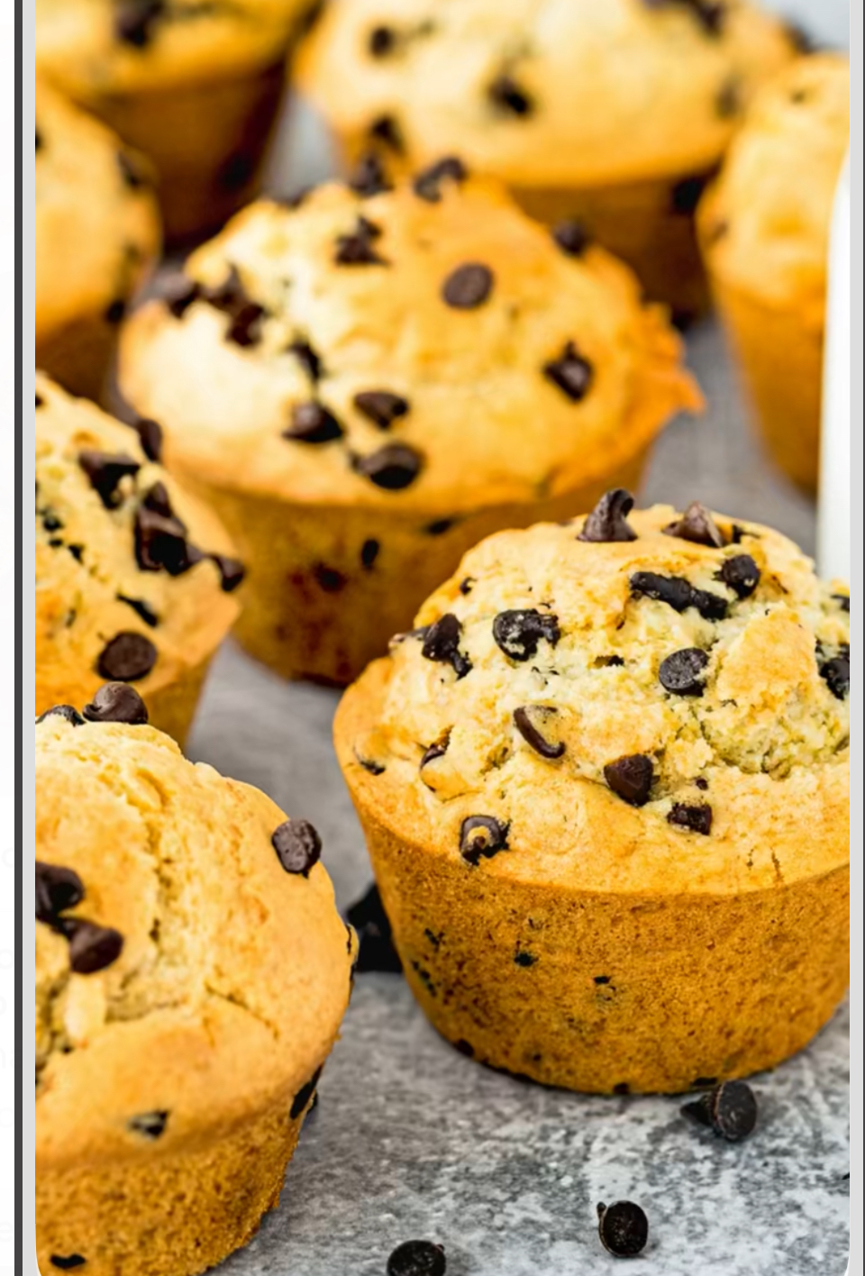 Vanilla Chocolate Chip Bliss