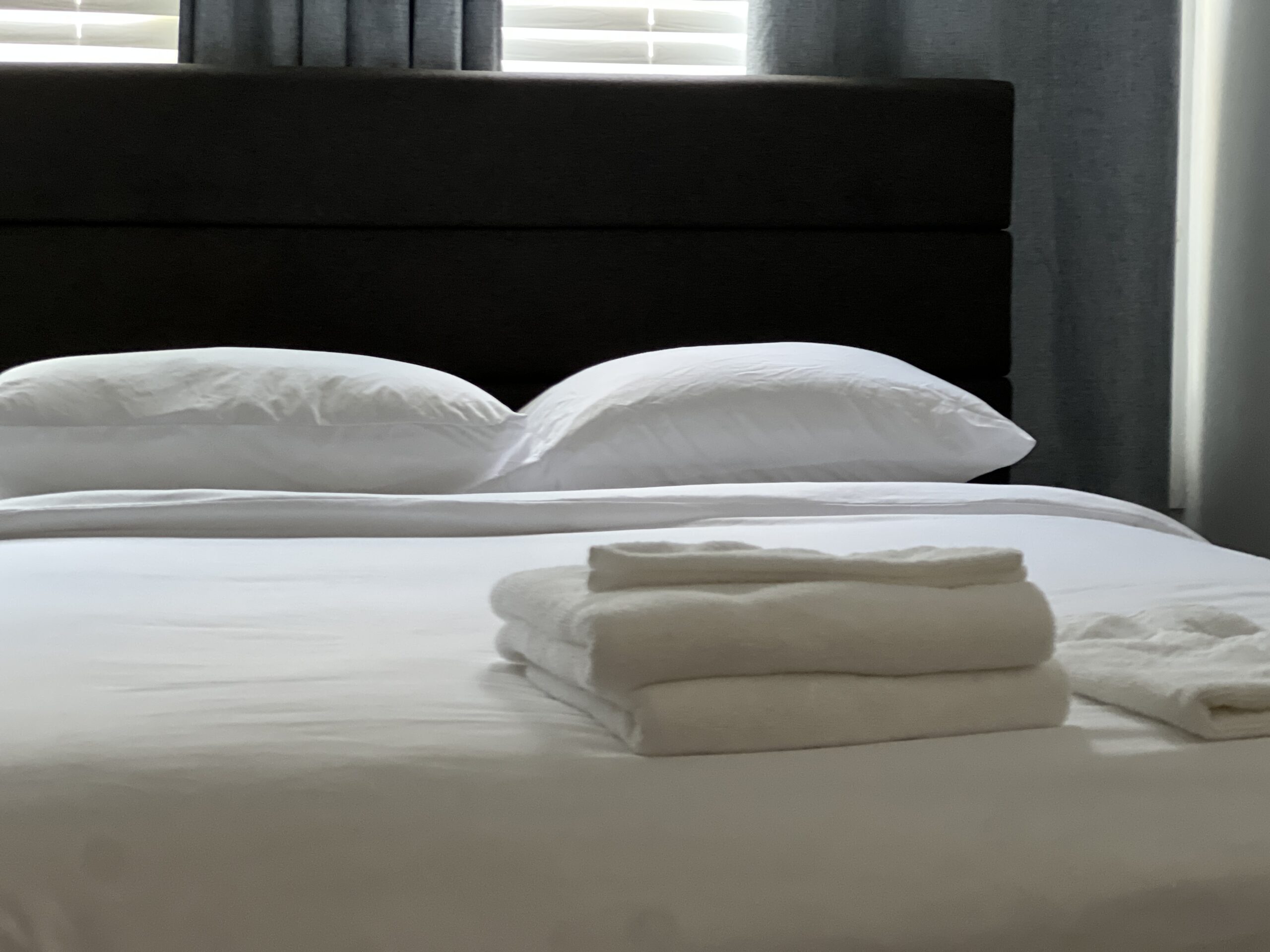 Welcome to the Quinta Suite