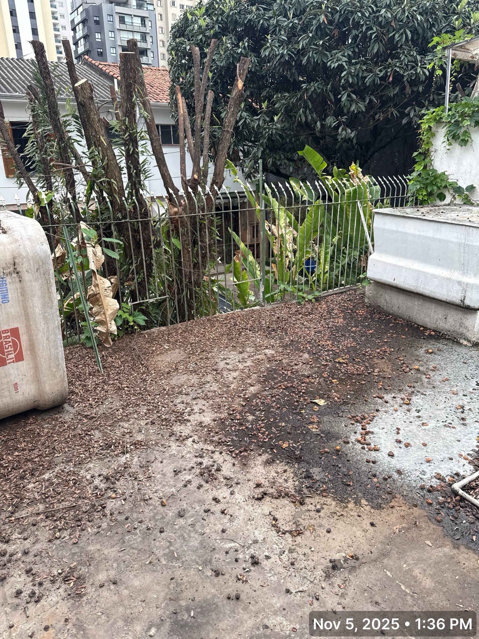 Quata 751 Franchise Project Launch