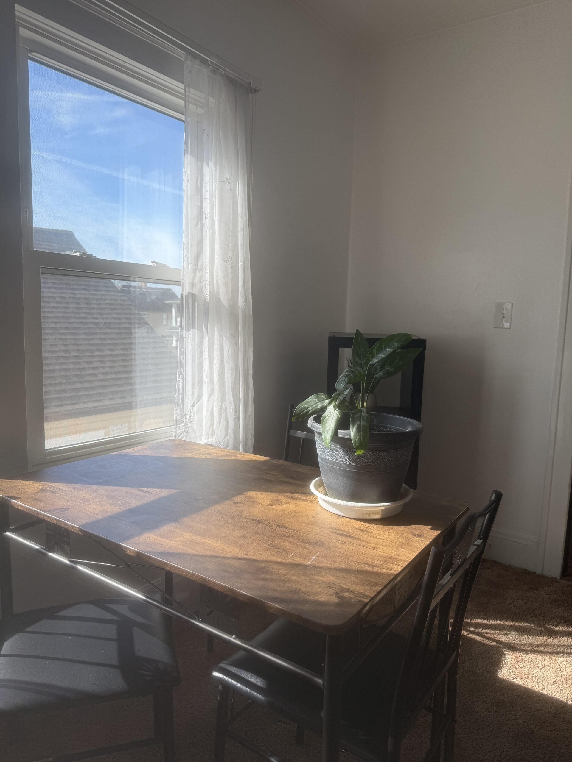 Returning Guests Save 10% This Saturday – Use Code SATURDAY28